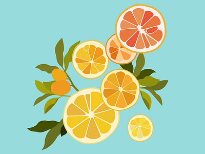 Summer Citrus citrus fruit lemon orange summer