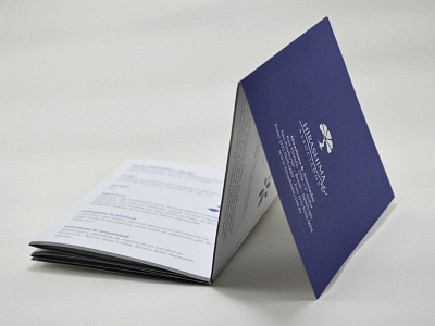 Hirashima Project - Graphic Design dictionary folder graphic design purple
