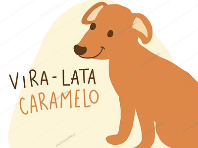 Brazilian Starter Pack: Vira Lata Caramelo brasil brasil starter pack caramel dog dog brazil vira lata caramelo
