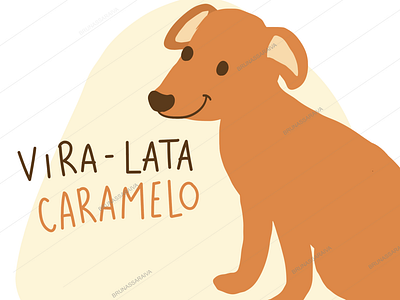 Brazilian Starter Pack: Vira Lata Caramelo