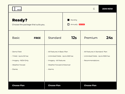 Pricing Page black and white design greyscale line pricing pricing page pricing plan pricing plans simple ui user experience ux website