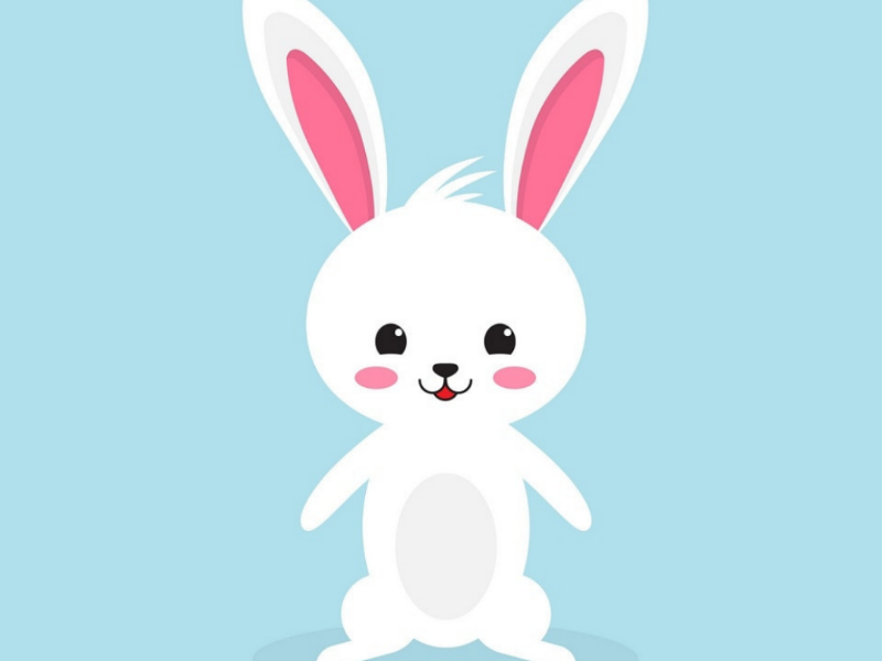 Illustration adobeaftereffects adobe logoinspiration illustrator illustration logodesigner logodesign creativity creative love animal rabbit character special