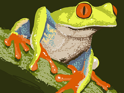 Sanders the Tree Frog animal black blue color dots frog fun green orange yellow