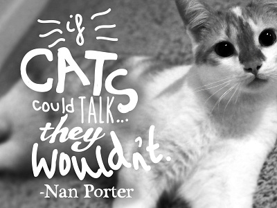 I am Not a Cat Hater... animal bw cat custom custom font font fun handlettering photo typography