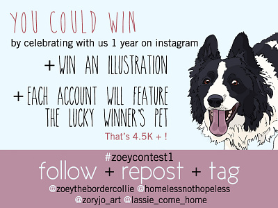 Instagram Promotion advertisement animal black blue border collie contest dog font illustration instagram promotion white
