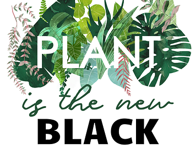 Plant is the new black concept plant