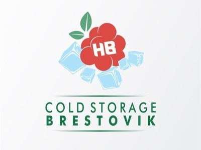 Cold Storage Brestovik logo design graphic design logo vector