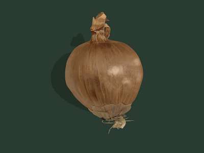 Onion study brown design digital illustration digital painting drawing food green illustration ipad onion procreate quarantine study