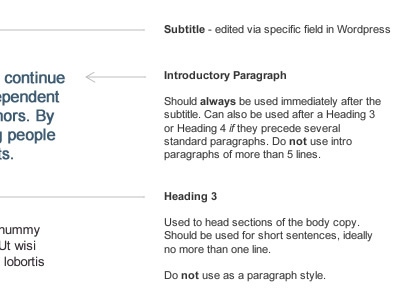 Style guidelines for content input