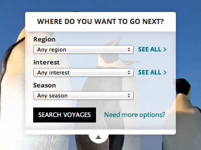 Yoyages search form