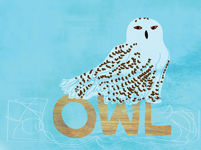 Snowy owl drawing