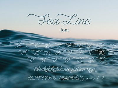 Sea Line Unique Monoline Script Font Description.