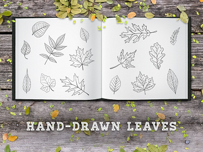 Hand-Drawn Leaves foliage hand drawn handmade leaves line drawing