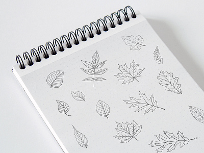 Hand-Drawn Leaves Release autumn fall foliage hand drawn leaves