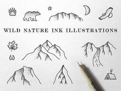 Wild Nature Ink Illustrations bear camping eagle handmade hiking illustrations ink leaf mountains nature outdoors stipple