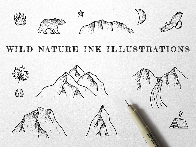 Wild Nature Ink Illustrations by Adrian Pelletier on Dribbble