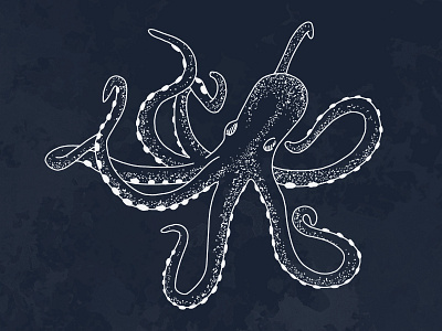 Octopus — Nautical Illustration