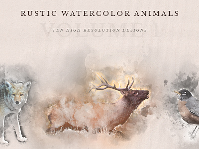 Rustic Watercolor Animals animals bear birds coyote deer illustration nature outdoors paintings rabbit rustic watercolor