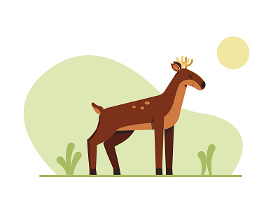 Deer illustration