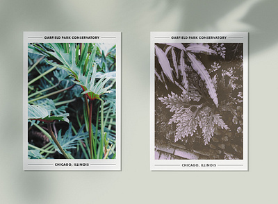 Garfield Park Conservatory Postcards botanical garden branding chicago conservatory mailers merch photography plants postcard print design typography vscocam