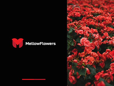 Mellow Flowers logo for flower boutique boutique brand brand identity branding branding design design flowers identity logo logotype minimal red typography