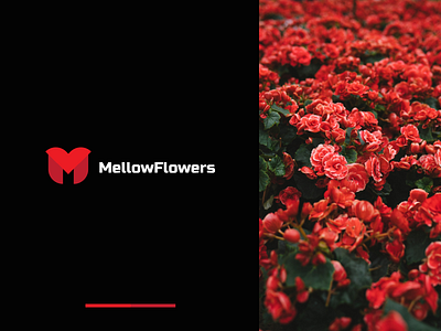 Mellow Flowers logo for flower boutique