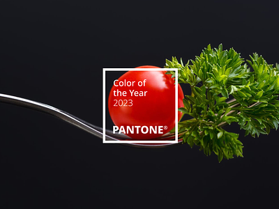 Color of the Year 2023 Predictions brand brand identity branding clean color coloroftheyear coloroftheyear2023 design designer follow inspiration pantone