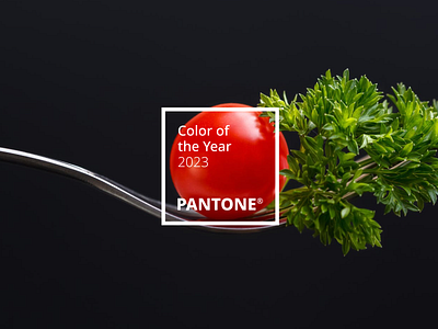 Color of the Year 2023 Predictions