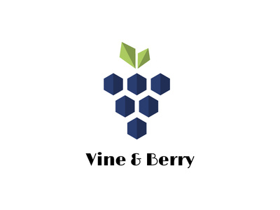 Vine And Berry dailylogochallenge design illustration logo logodesign typography vector