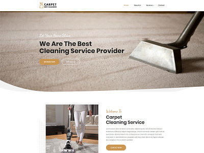 Carpet Dry Cleaner Website Design design symplelogix ui ux web design