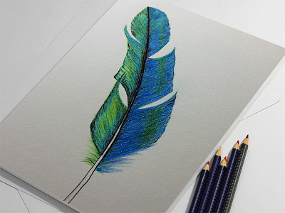 Feather Sketch drawing pencil ps sketch