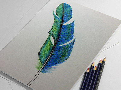 Feather Sketch
