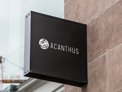 Acanthus Logo Redesign brand design brand identity branding branding and identity design logo logo design logodesign logotype vector