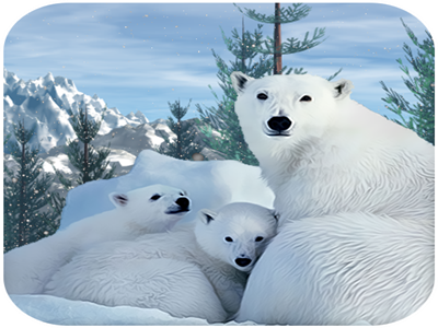 Polar Bear Family Survival android animals arctic bear breed dangerous family fishes forest freezing game hunt jungle mountains polar quest survival wild