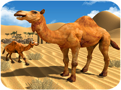 Camel Family Life Simulator