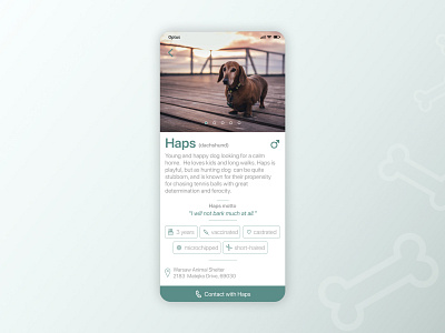 Animal Shelter App animals mobile mobile app mobile app design mobile ui ui uidesign uiux