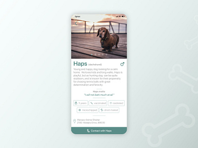 Animal Shelter App