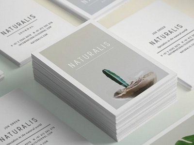 NATURALIS Business Card Template branding template business business card business card template business card templates card card template card templates cards clean clean business card corporate design elegant elegant business card indesign modern business card nature nature business card template