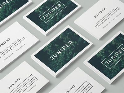 J U N I P E R Business Card Template branding branding template business business card business card template business card templates card card template card templates cards clean business card design elegant elegant business card hipster business card indesign template juniper juniper business card modern business card template