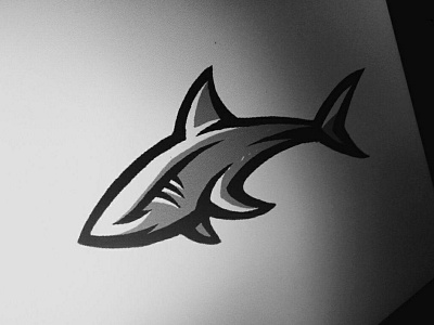 Shark concept sketch aggresive animal logo athletic badge branding college design icon identity illustration logo design mascot logo minimalistic shark sketching sports sports branding sports logos vector water