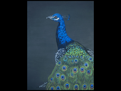 Hand Drawn Peacock birds blue chalks fineart green handdrawn pastel pastels peacock