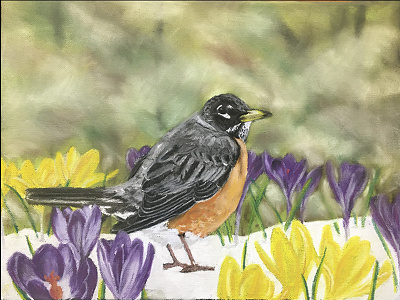 Spring Robin birds crocus drawing fineart flowers handdrawn painting pastelartist robin spring