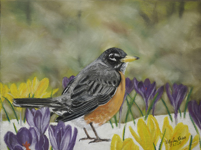 Spring Robin (Finished) chalks drawing fineart handdrawntype painting pastel pastelartist robin spring