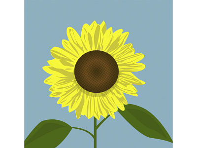 Sunflower flower garden graphic illustration summer sunflower vector yellow