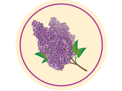 Lilac Lid illustration illustrator label design packagedesign product