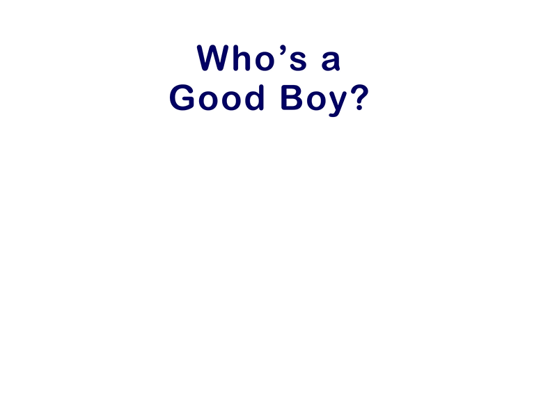 Who's a Good Boy?