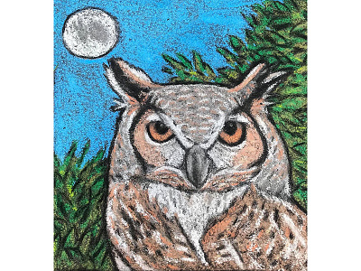 Sidewalk Chalking albany animal art animals chalk art design illustration owls pastels