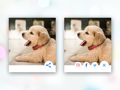 Daily UI Challenge #010 - Social Share