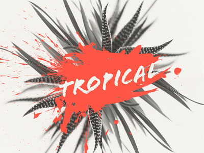 Tropical — Design Template color design digital illustration instadesign instagram nature plant post poster social splash summer trend trendy trendy design typography visual visual art visual design