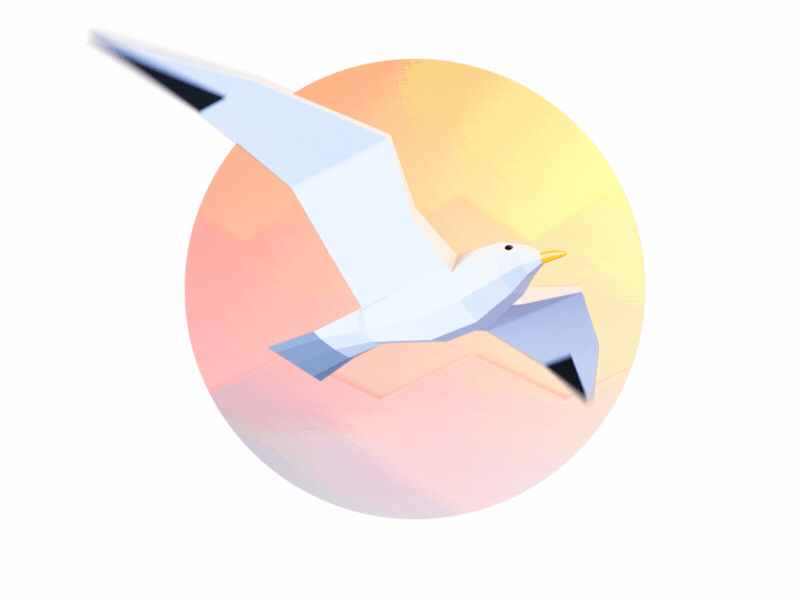 Flying Seagull 3d animal animation bird cartoon flying gif isometric low poly lowpoly